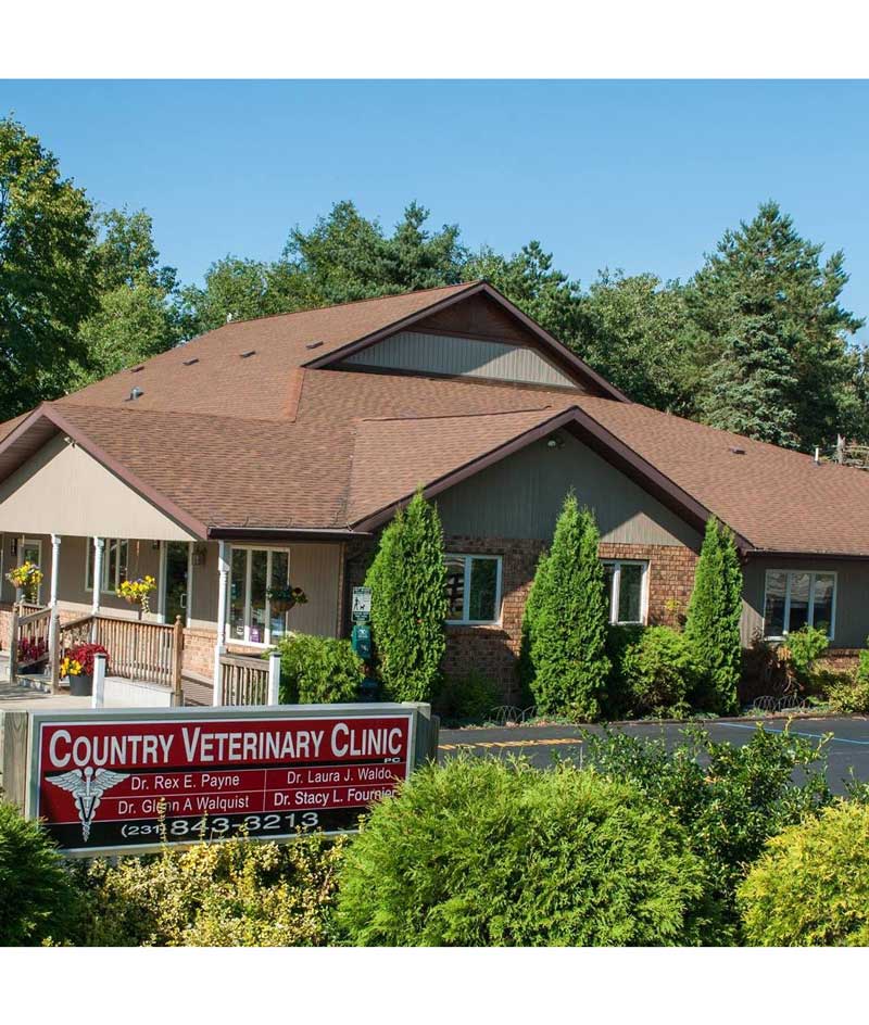 Country hot sale veterinary clinic