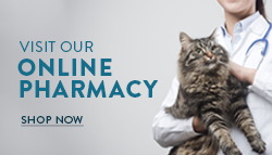 Online pharmacy